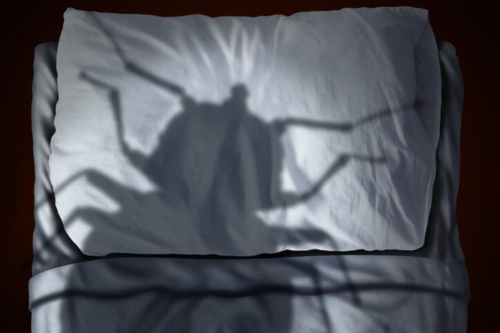 keeping-bed-bugs-out-of-your-apartment